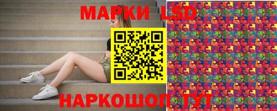 шишки Будённовск