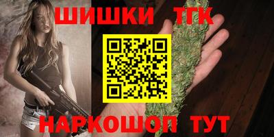 шишки Будённовск