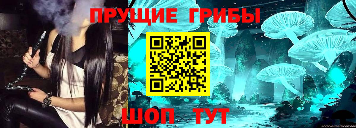 Галлюциногенные грибы Psilocybine cubensis  Вход с VPN  Реутов 